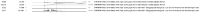 image-2026-05-29-19-11-07-055.png