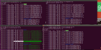 wired collection 6.png