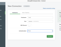 MongoDB Compass Beta - Connect 2021-02-15 11-37-57.png