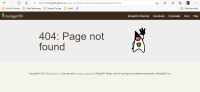 MongoClient API page showing 404 message.png