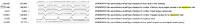 Screenshot 2025-03-31 at 9.08.41 pm.png