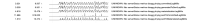 Screenshot 2025-06-11 at 9.45.52 AM.png