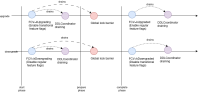 SERVER-105970-FCVTransitions.drawio.png
